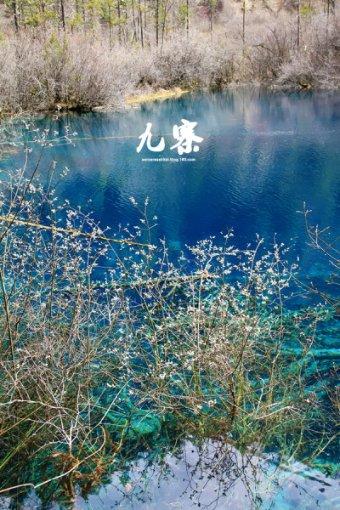 燃烧吧大脑免广告最新版